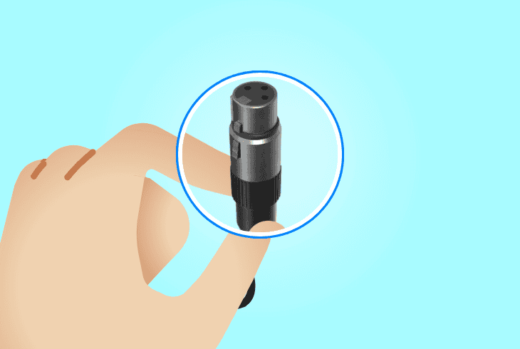 check the xlr cable connection