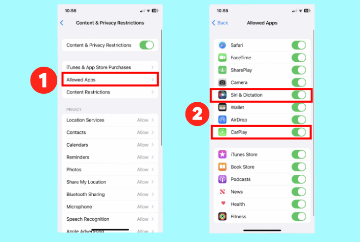 allow the carplay and siri