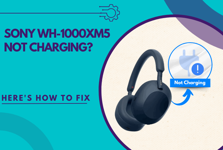 sony wh-1000xm5 not charging
