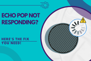 echo pop not responding
