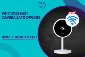 nest camera says offline