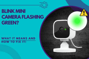 blink mini camera flashing green