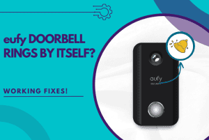 eufy doorbell rings by itself